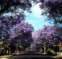 Monaco Court Apartment Adelaide - Lennox Head Accommodation