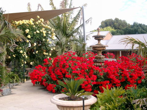 McLaren Vale Motel & Apartments - Lennox Head Accommodation 35