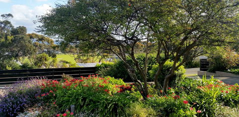 Admirals Inn - Lennox Head Accommodation 8