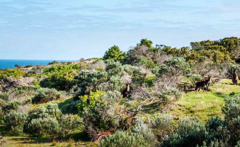 Admirals Inn - Lennox Head Accommodation 36