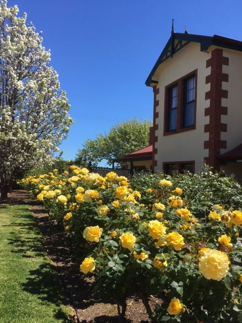 Wine And Roses Bed And Breakfast - Lennox Head Accommodation 5