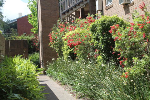 Adelaide DressCircle Apartments - Archer Street - Lennox Head Accommodation 18