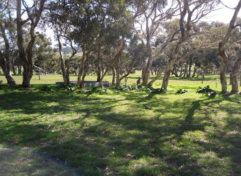 Wenton Farm Holiday Cottages - Lennox Head Accommodation 1