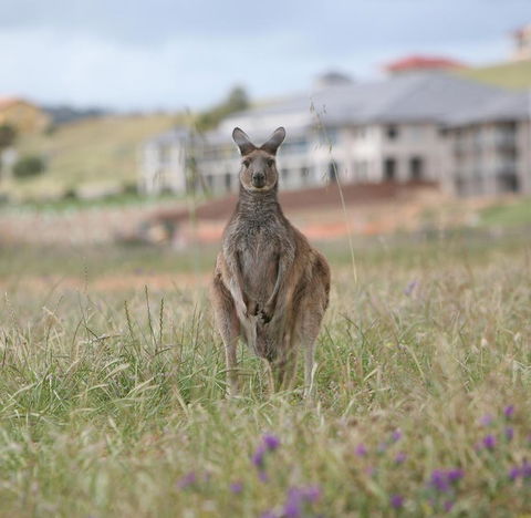 Lady Bay Hotel - Lennox Head Accommodation 18