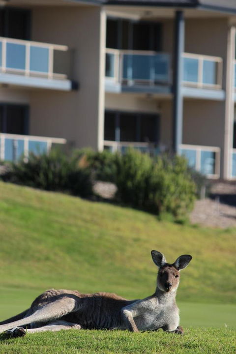 Lady Bay Hotel - Lennox Head Accommodation 16