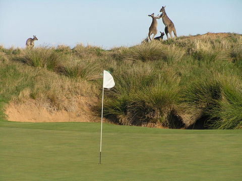 Lady Bay Hotel - Lennox Head Accommodation 17