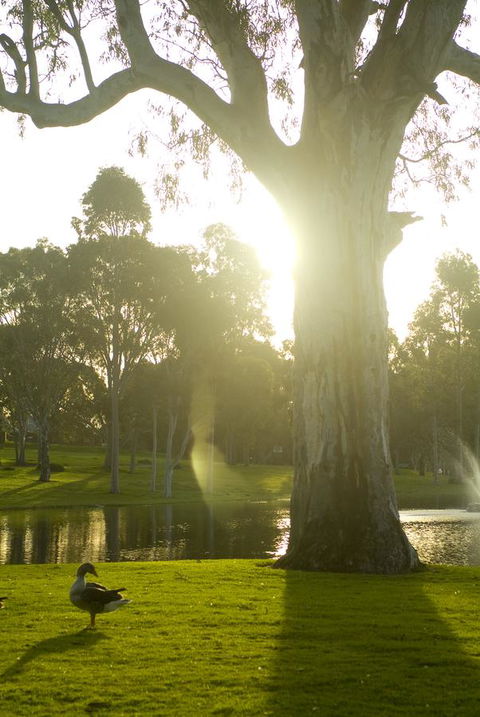 Serafino McLaren Vale - Lennox Head Accommodation 15