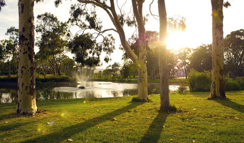 Serafino McLaren Vale - Lennox Head Accommodation 14