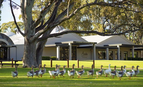 Serafino McLaren Vale - Lennox Head Accommodation 0
