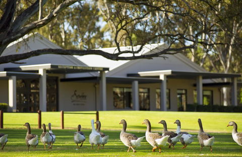 Serafino McLaren Vale - Lennox Head Accommodation 17