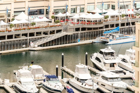 Beachside Luxury & Comfort, Ocean Views In Glenelg - Lennox Head Accommodation 6