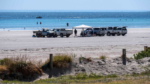 Wallaroo Holiday Park - Lennox Head Accommodation 9