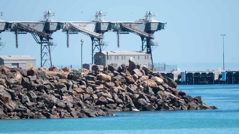 Wallaroo Holiday Park - Lennox Head Accommodation 6