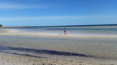 Seafront Shack - Lennox Head Accommodation 9