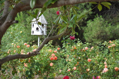 The Lyndoch Motel - Lennox Head Accommodation 2