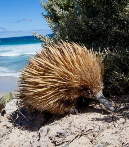 Saar River House - Lennox Head Accommodation 15