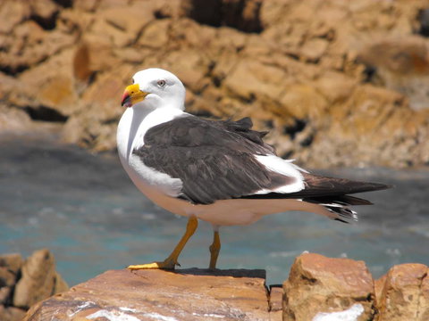 Saar River House - Lennox Head Accommodation 26