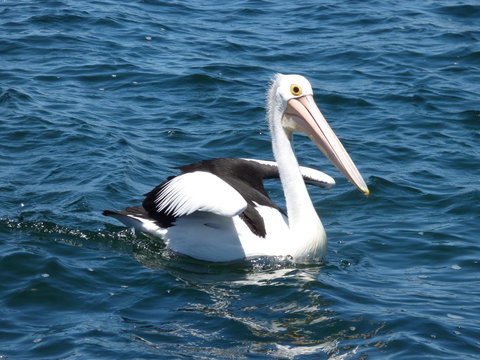 Saar River House - Lennox Head Accommodation 6