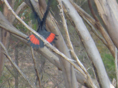 Saar River House - Lennox Head Accommodation 5