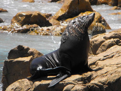 Saar River House - Lennox Head Accommodation 23