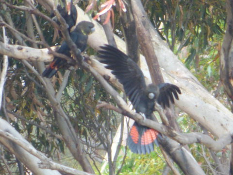 Saar River House - Lennox Head Accommodation 4