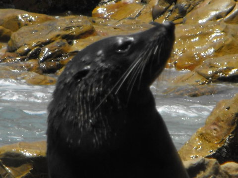 Saar River House - Lennox Head Accommodation 25