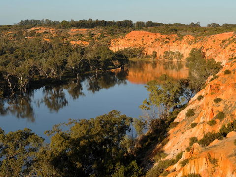 Echo Holiday Parks - Renmark - Lennox Head Accommodation 11