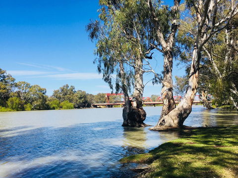 Echo Holiday Parks - Renmark - Lennox Head Accommodation 5
