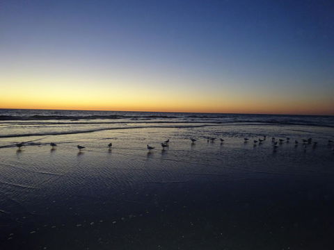 Aurora Holiday Apartment @West Beach - Lennox Head Accommodation 14