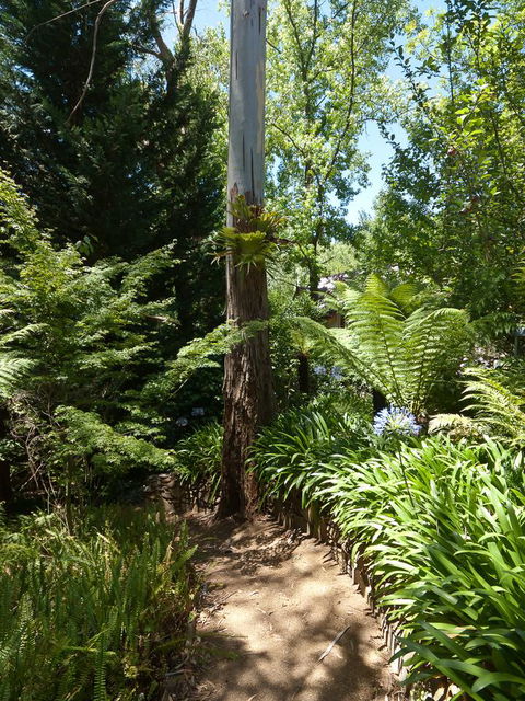 Aldgate Creek Cottage Bed And Breakfast - Lennox Head Accommodation 27