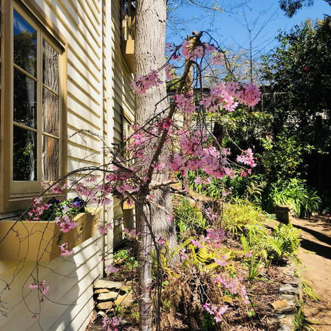 Aldgate Creek Cottage Bed And Breakfast - Lennox Head Accommodation 19