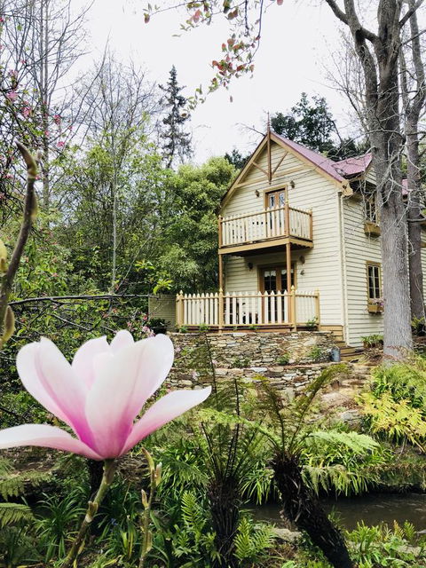 Aldgate Creek Cottage Bed And Breakfast - Lennox Head Accommodation 6