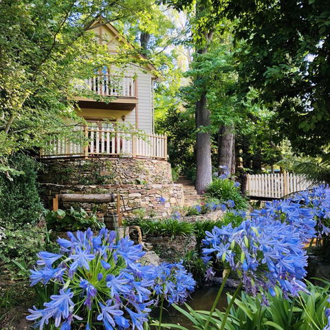 Aldgate Creek Cottage Bed And Breakfast - Lennox Head Accommodation 2