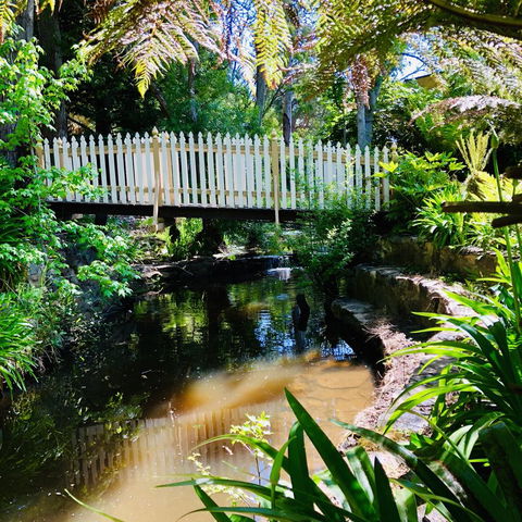 Aldgate Creek Cottage Bed And Breakfast - Lennox Head Accommodation 24