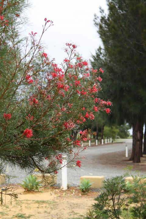 The Heights Bed & Breakfast - Lennox Head Accommodation 0