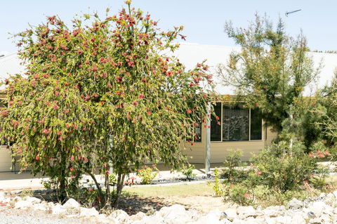 The Heights Bed & Breakfast - Lennox Head Accommodation 15