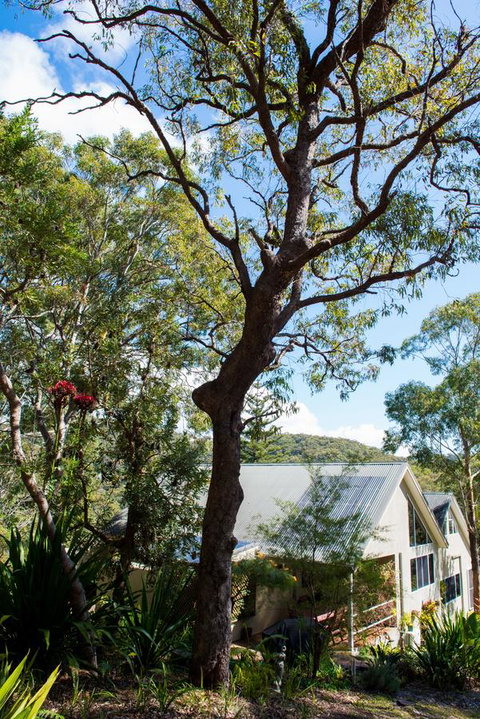 Nelson Bay Bed & Breakfast - Lennox Head Accommodation 42