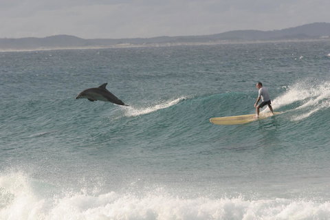 Crescent Head Spa Villa - Lennox Head Accommodation 22