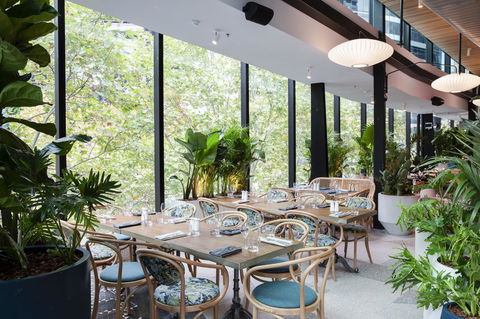 Vibe Hotel North Sydney - Lennox Head Accommodation 4