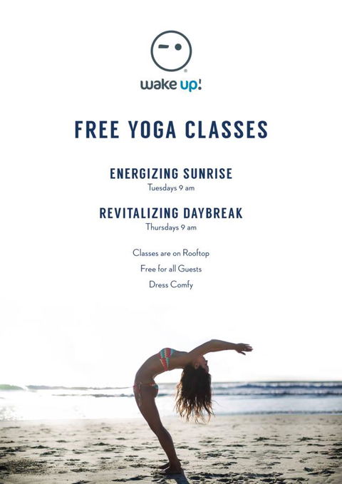 Wake Up! Bondi Beach - Lennox Head Accommodation 4