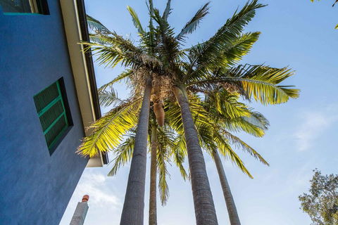 Bondi Beach House - Lennox Head Accommodation 2