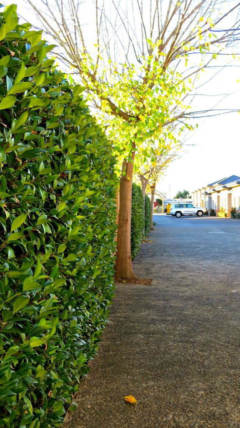 Best Western Plus Goulburn - Lennox Head Accommodation 37
