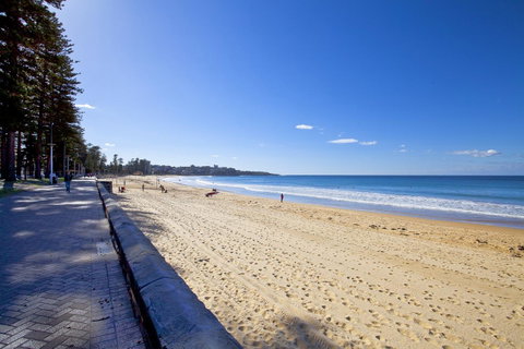Manly Paradise Motel & Apartments - Lennox Head Accommodation 8