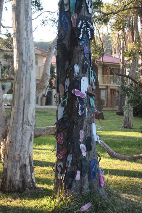 Ambience - Lennox Head Accommodation 33