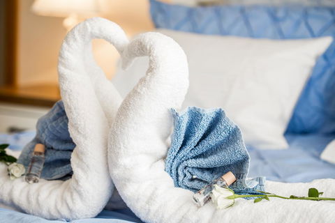 Ambience - Lennox Head Accommodation 11