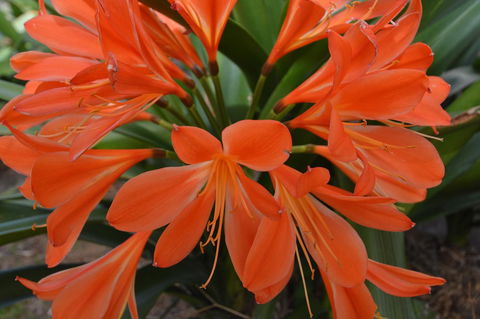 JE Guesthouse, Central To All The Hunter Valley Has To Offer - Lennox Head Accommodation 39