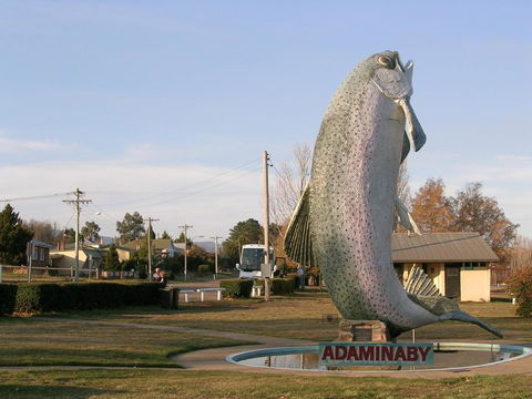 Cooma Motor Lodge Motel - Lennox Head Accommodation 19