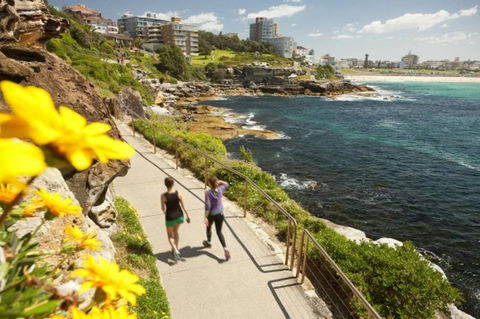 BONDI BEACH PRIME 1 Bedroom + Sunroom - Lennox Head Accommodation 16