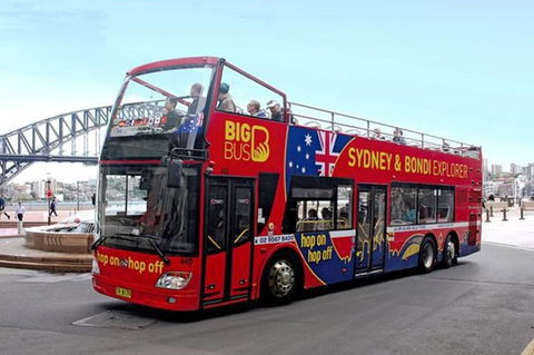 BONDI BEACH PRIME 1 Bedroom + Sunroom - Lennox Head Accommodation 17