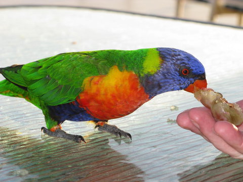 Baywatch Apartments Merimbula - Lennox Head Accommodation 22